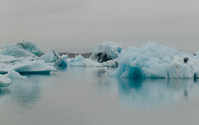 Article Image for Climate Migration and Its Social Implications