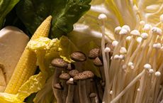 Article Image for Debunking Popular Nutrition Myths