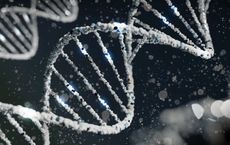 Article Image for Genomic Fitness Platforms: Biotech’s Leap into Personalized Training