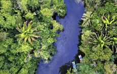 Article Image for Global Efforts to Protect Biodiversity and Natural Resources