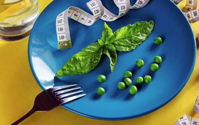 Article Image for Nutrition Myths That Continue to Influence Modern Diets