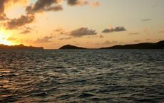 Article Image for Ocean Conservation Efforts Making a Global Impact