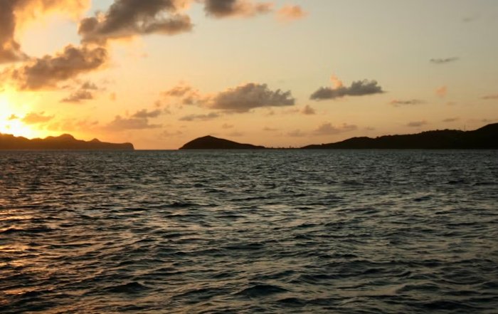 Article Image for Ocean Conservation Efforts Making a Global Impact