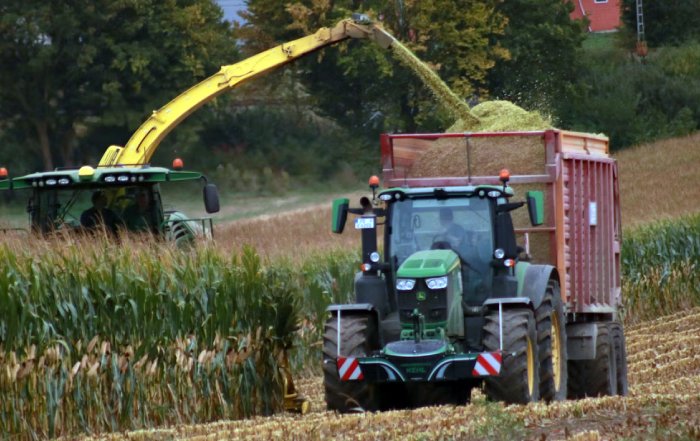 Article Image for Regenerative Agriculture and Food Systems