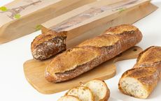 Article Image for Sustainable Packaging Solutions for Global Brands