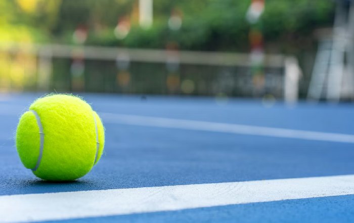 Article Image for The Art of Sport Psychology and Mental Coaching