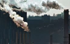 Article Image for The Economic Impact of Environmental Responsibility