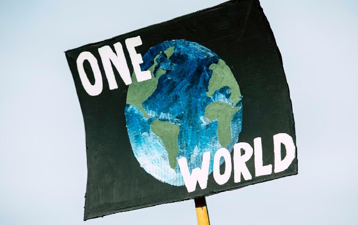 Article Image for The Impact of Social Entrepreneurship Worldwide