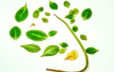 Article Image for The Impact of Sustainability Demands on Global Fitness Brands