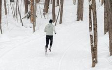 Article Image for The Neuroscience of Habit Formation and Fitness