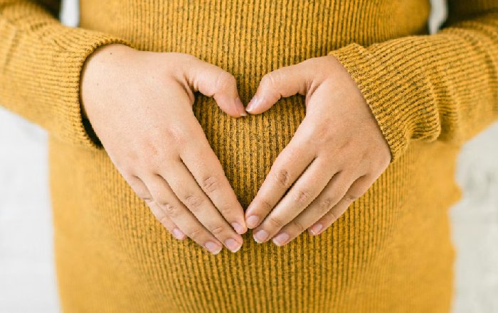 Article Image for The Role of Gut Health in Overall Wellness